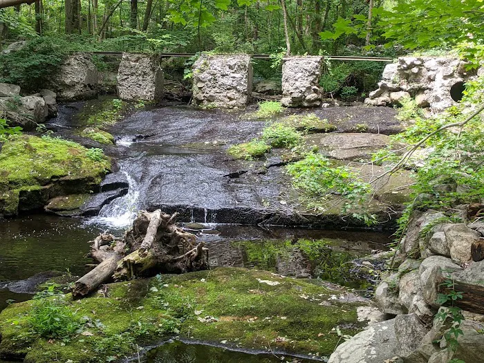 Sterling Forest State Park Picture 8