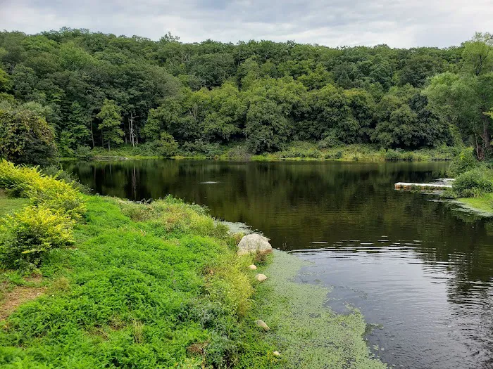Sterling Forest State Park Picture 4