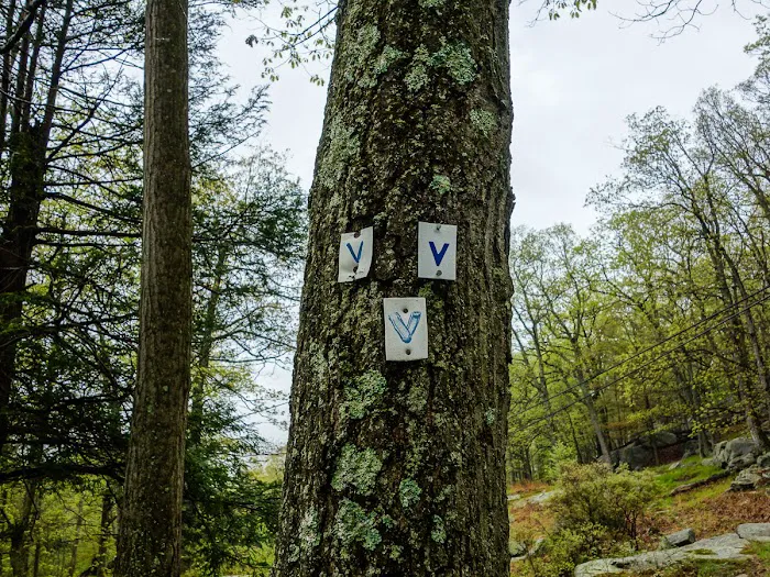 Tri-Trail Corner Picture 2