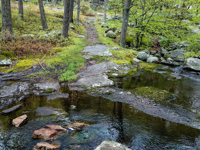Tri-Trail Corner Picture 3
