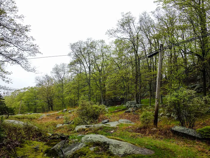 Tri-Trail Corner Picture 5