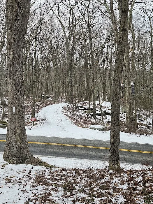 Appalachian Trail at Arden Valley Rd, NY Picture 1