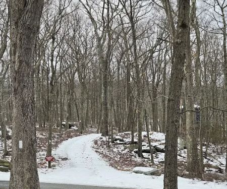 Appalachian Trail at Arden Valley Rd, NY