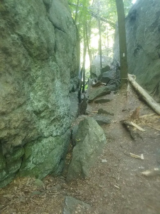 Appalachian Trail Picture 6