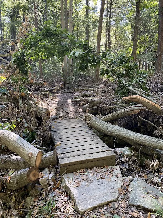 Appalachian Trail Picture 9
