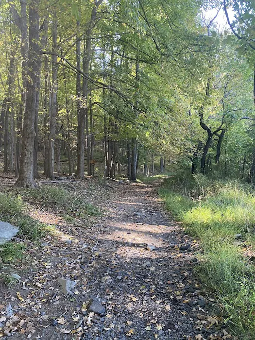 Appalachian Trail Picture 5