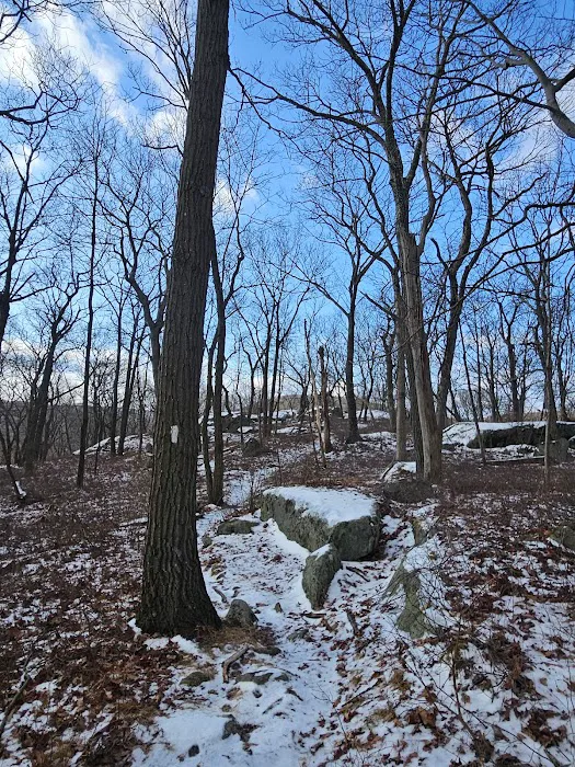 Appalachian Trail Picture 10