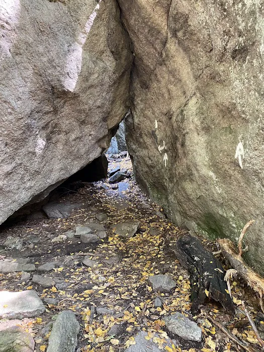 Appalachian Trail Picture 8