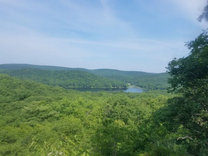 Appalachian Trail Picture 7