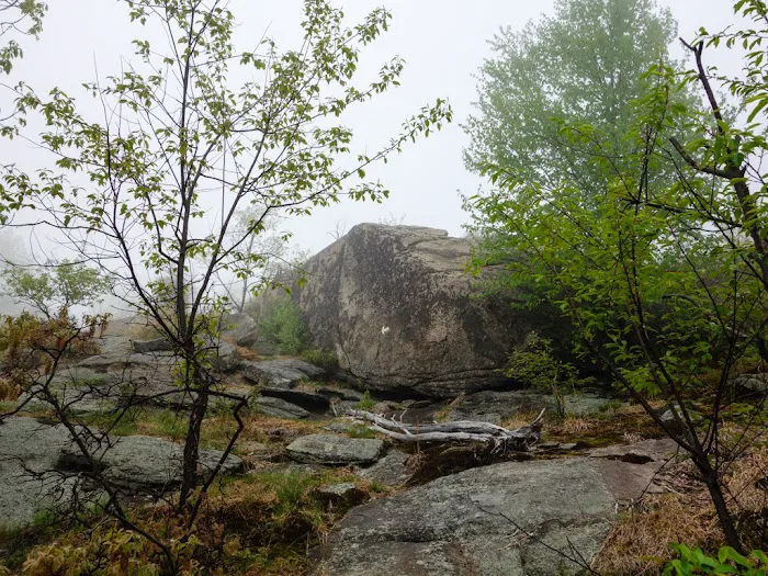 Horn Hill Picture 8