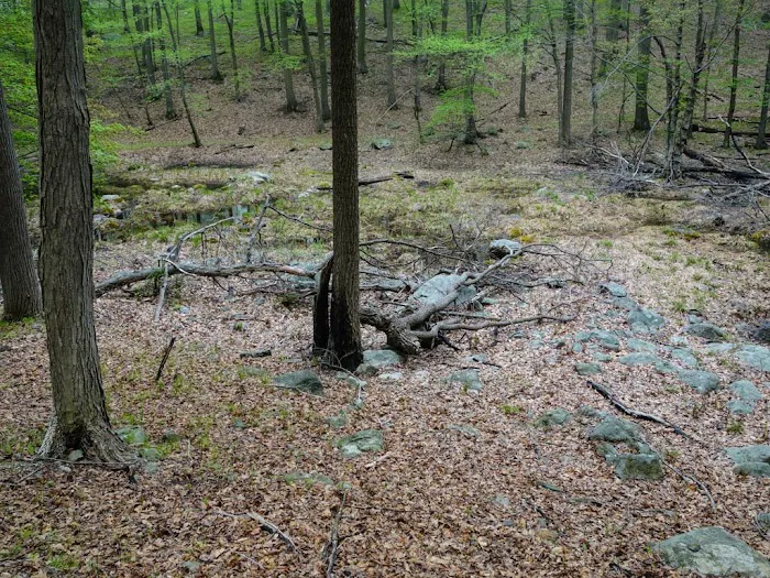 Horn Hill Picture 9