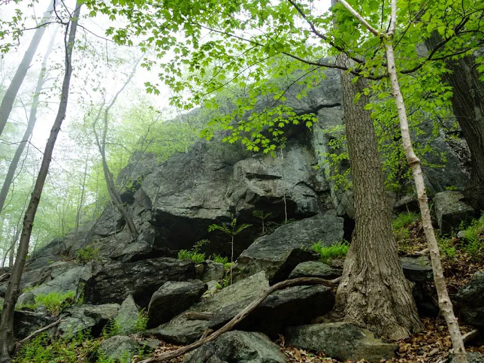 Horn Hill Picture 7