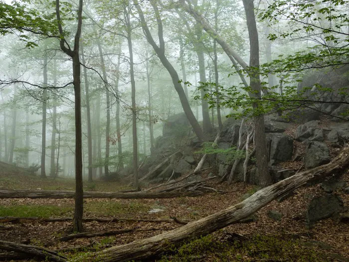 Horn Hill Picture 1