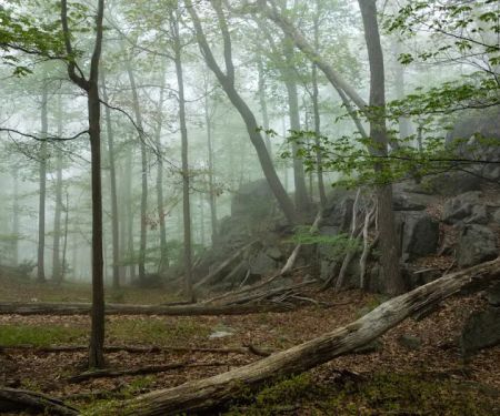 Horn Hill