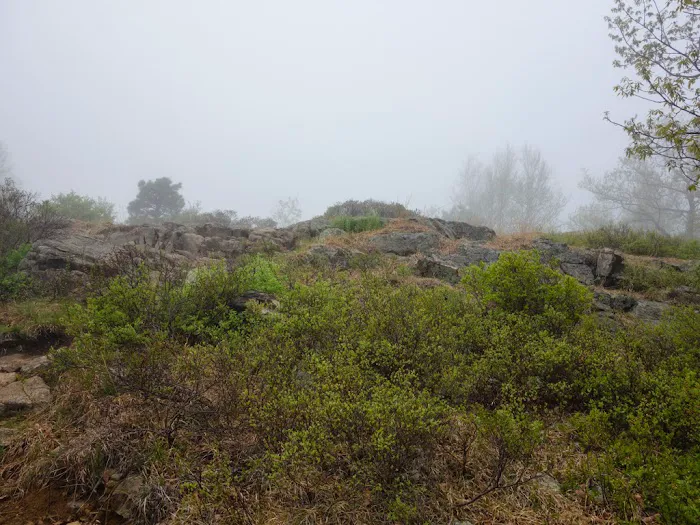 Horn Hill Picture 5