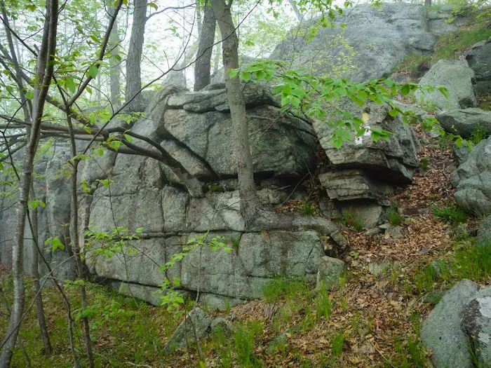 Horn Hill Picture 2