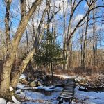 Appalachian Trail at Seven Lakes Dr, NY