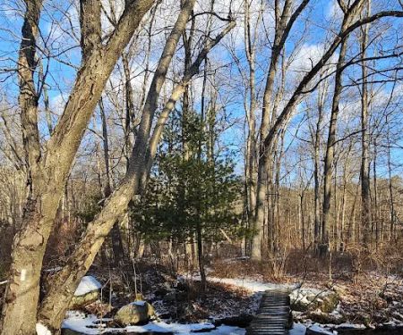Appalachian Trail at Seven Lakes Dr, NY