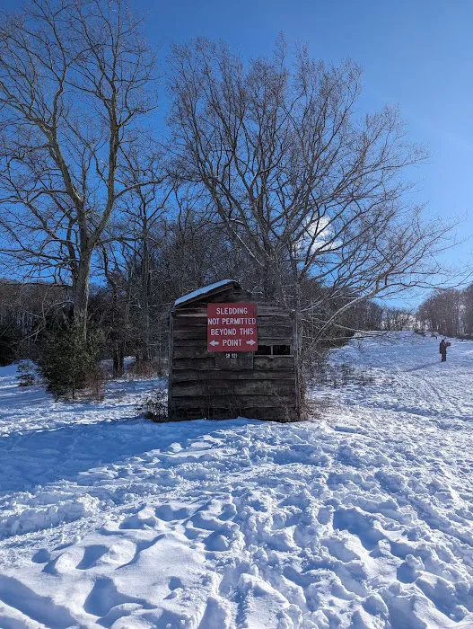 Silver Mine Picture 6