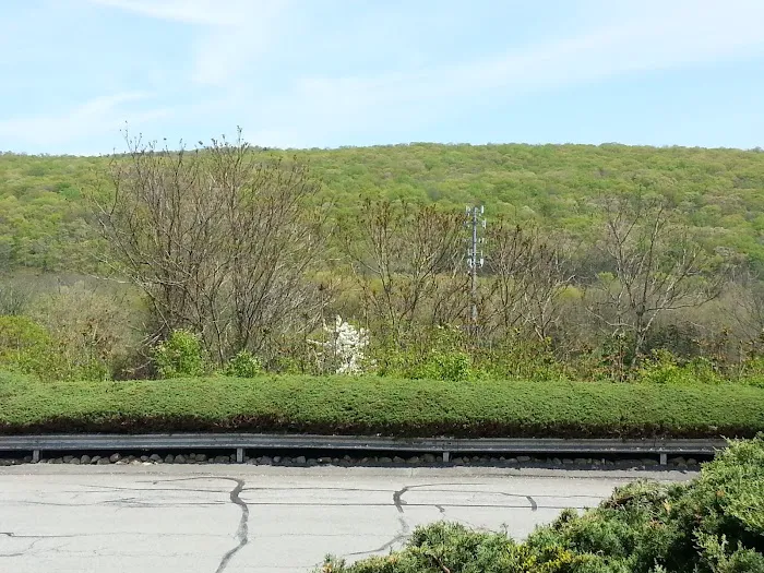 Tuxedo Motel Picture 8