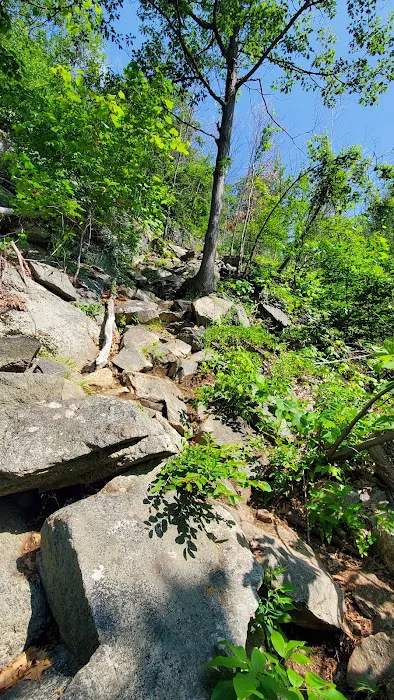 Anthony's Nose Trailhead Picture 8