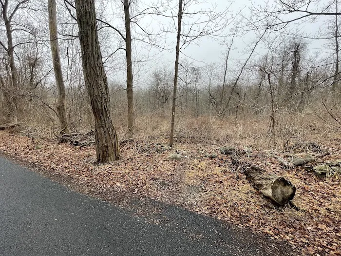 Trail Marker Picture 5
