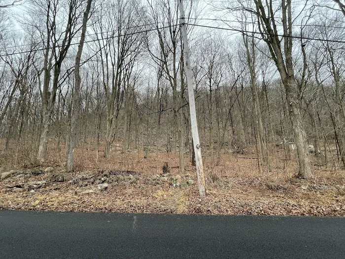 Trail Marker Picture 4