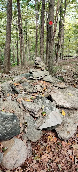 Granite Mountain Preserve Picture 1