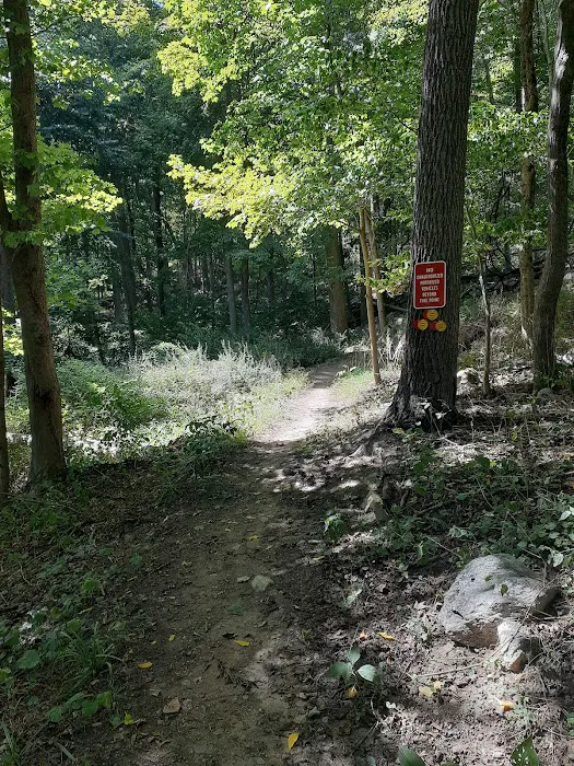 Granite Mountain Preserve Picture 3