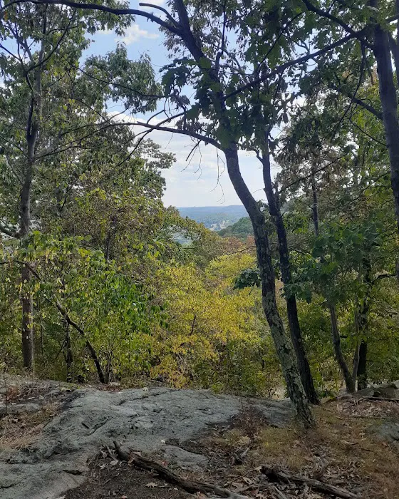 Granite Mountain Preserve Picture 4