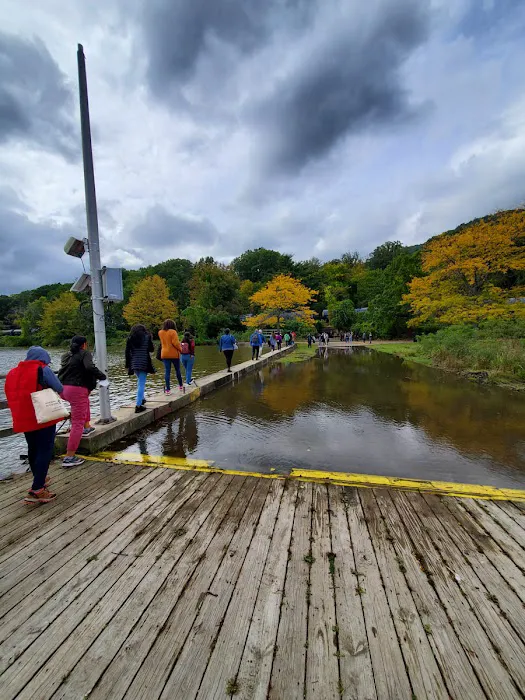 Bear Mountain Dock Picture 5