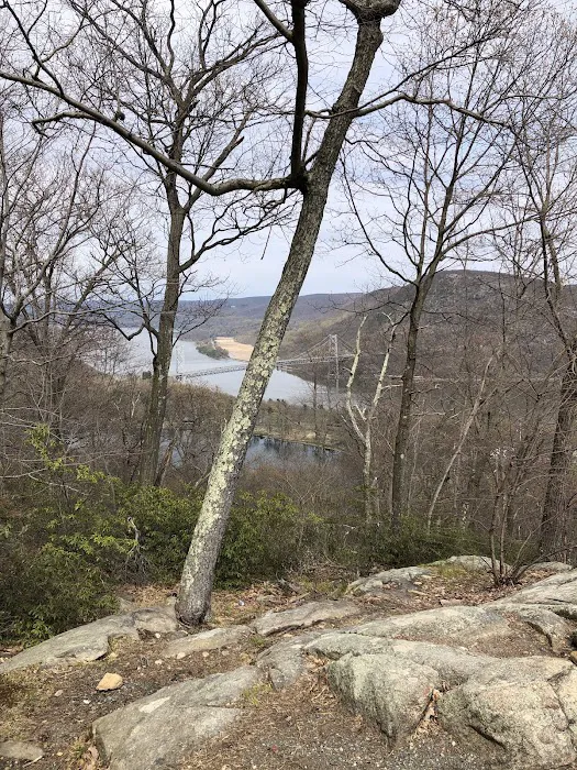 Appalachian Trail Picture 7