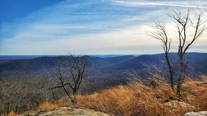 Appalachian Trail Picture 4