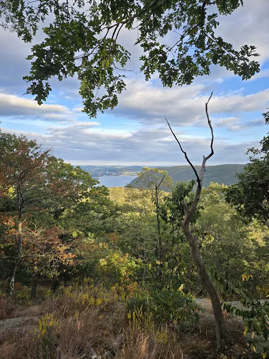 Appalachian Trail Picture 8