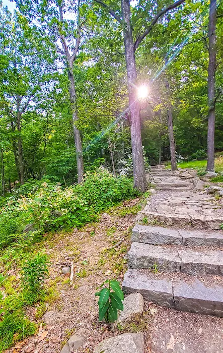 Appalachian Trail Picture 2