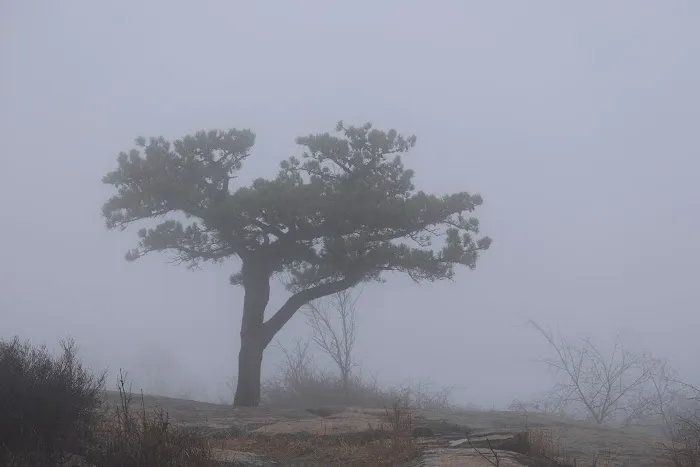Major Welch Trailhead Picture 5