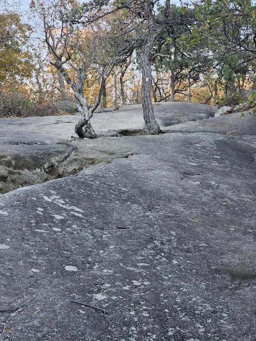 Major Welch Trailhead Picture 9