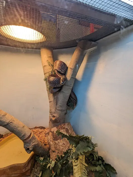 Amphibians, Reptiles, and Fish Museum Picture 7