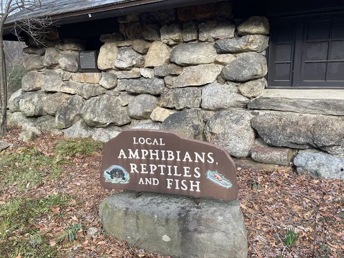 Amphibians, Reptiles, and Fish Museum Picture 10