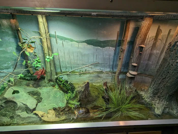 Amphibians, Reptiles, and Fish Museum Picture 1