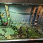 Amphibians, Reptiles, and Fish Museum
