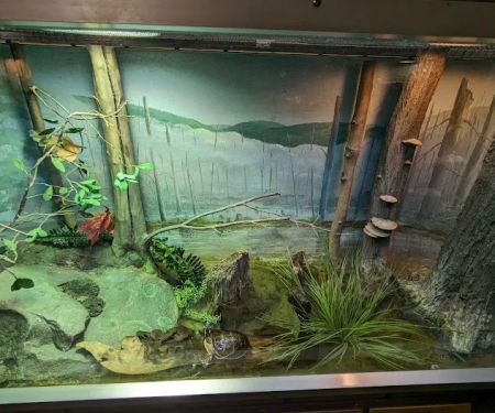 Amphibians, Reptiles, and Fish Museum