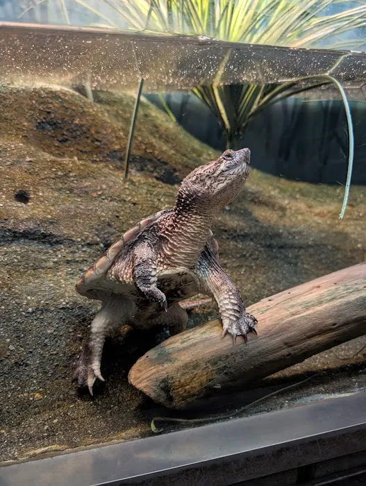 Amphibians, Reptiles, and Fish Museum Picture 4