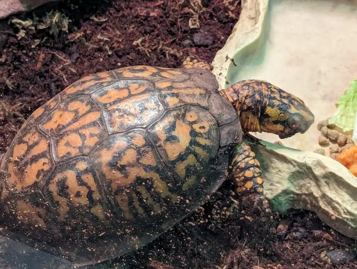 Amphibians, Reptiles, and Fish Museum Picture 3