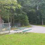 Sycamore Town Park