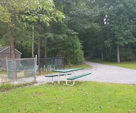 Sycamore Town Park