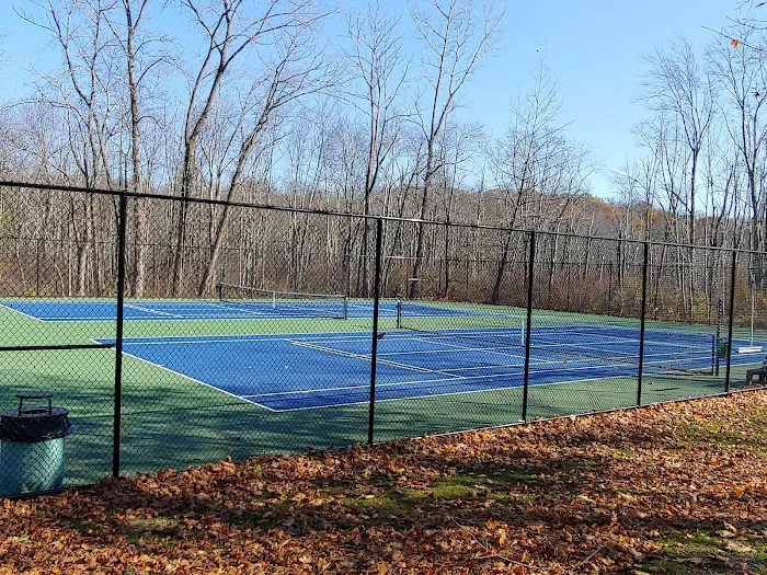 Sycamore Town Park Picture 9