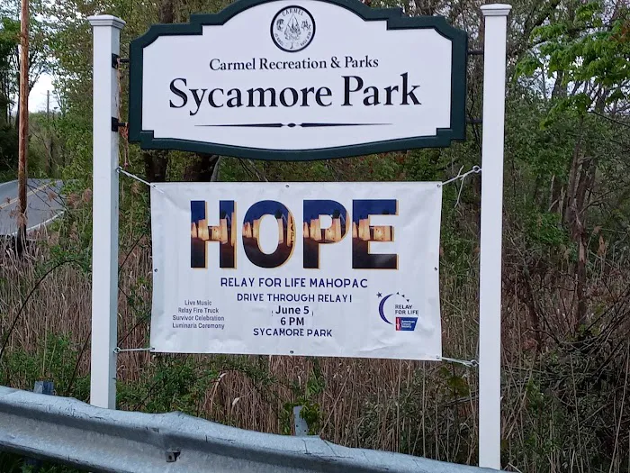 Sycamore Bark Park Picture 4