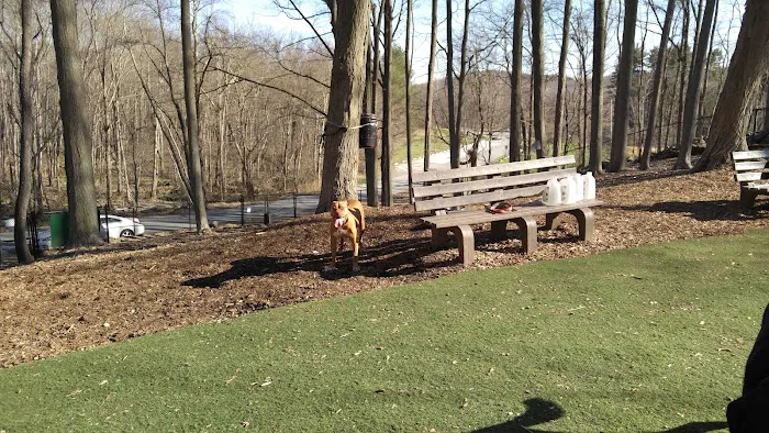 Sycamore Bark Park Picture 3