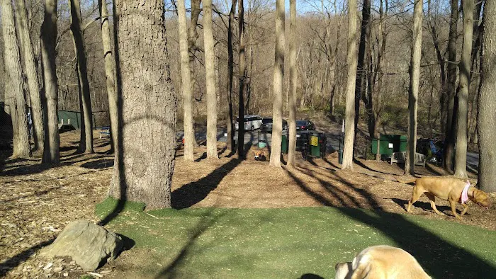 Sycamore Bark Park Picture 2